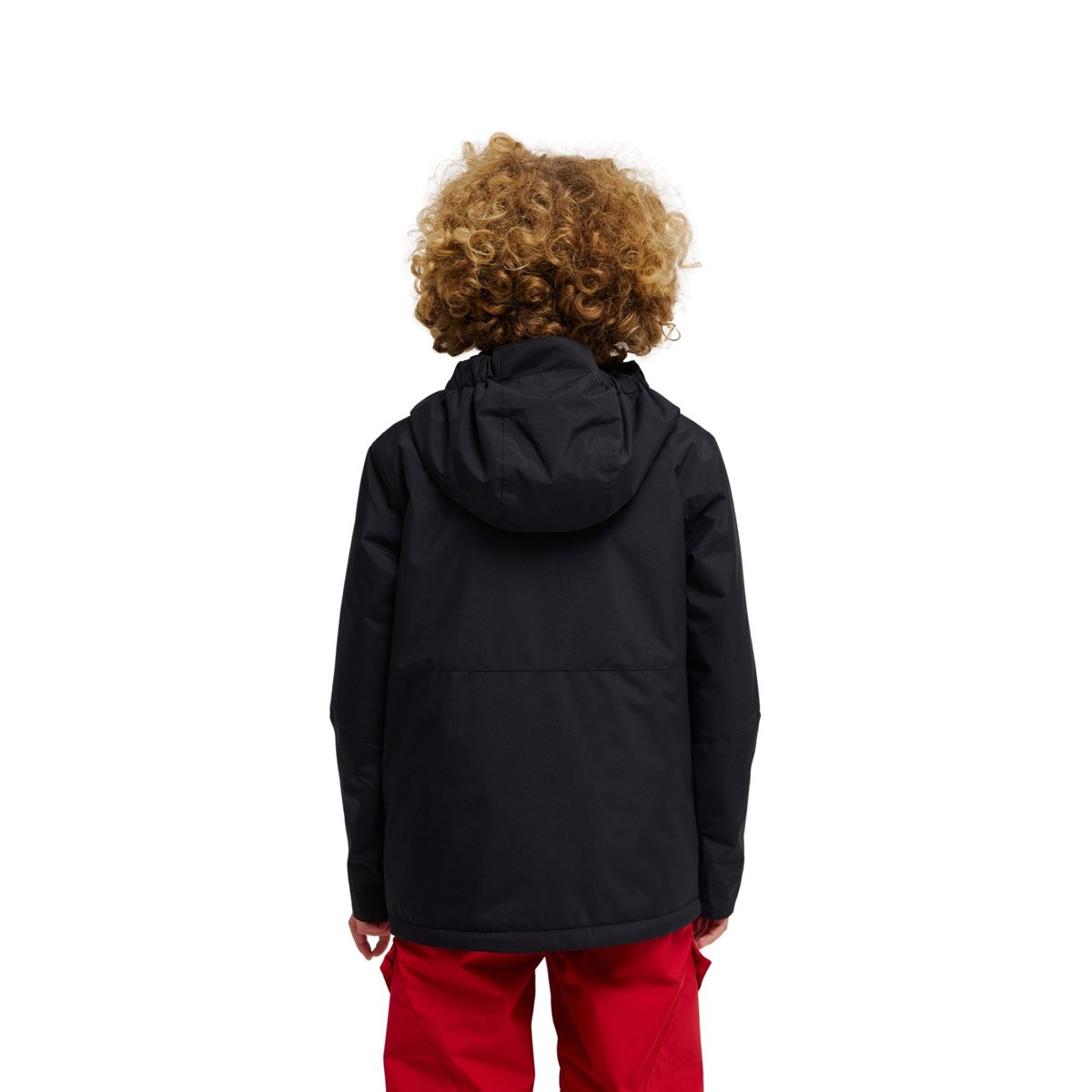 Veste de snow technique BASIS 10K. noir black, DC SHOES