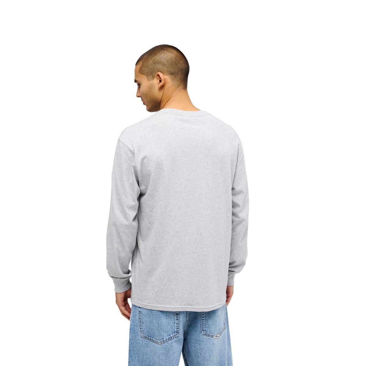 T-shirt manches longues SALT WATER gris light grey heather, QUIKSILVER