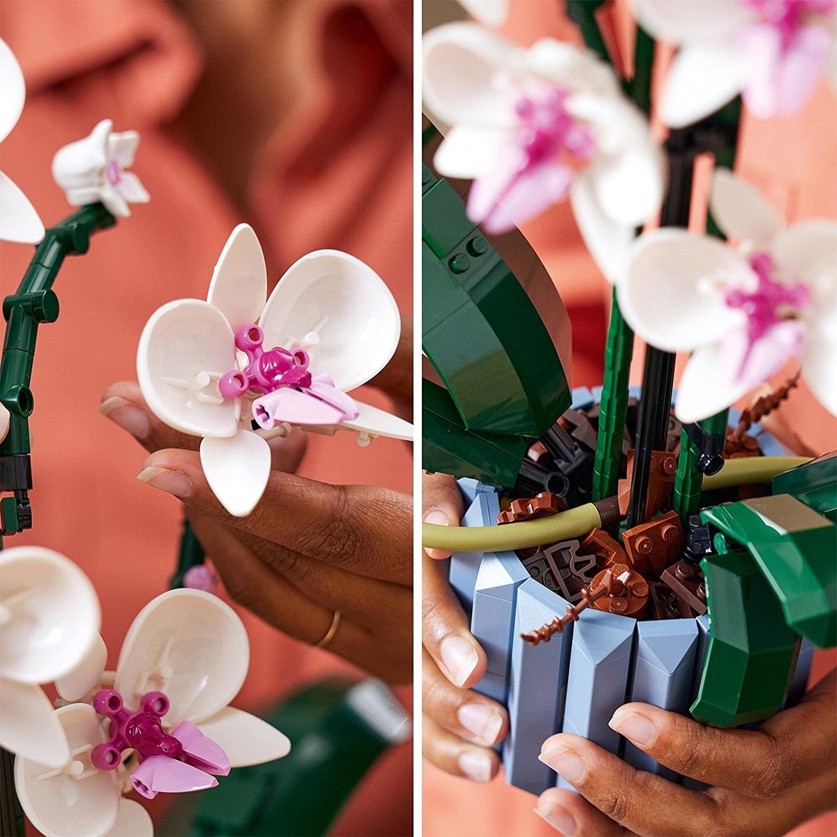 LEGO Botanicals - LEGO Creator - L'orchidée - 10311 blanc, rose, bleu, marron, LEGO
