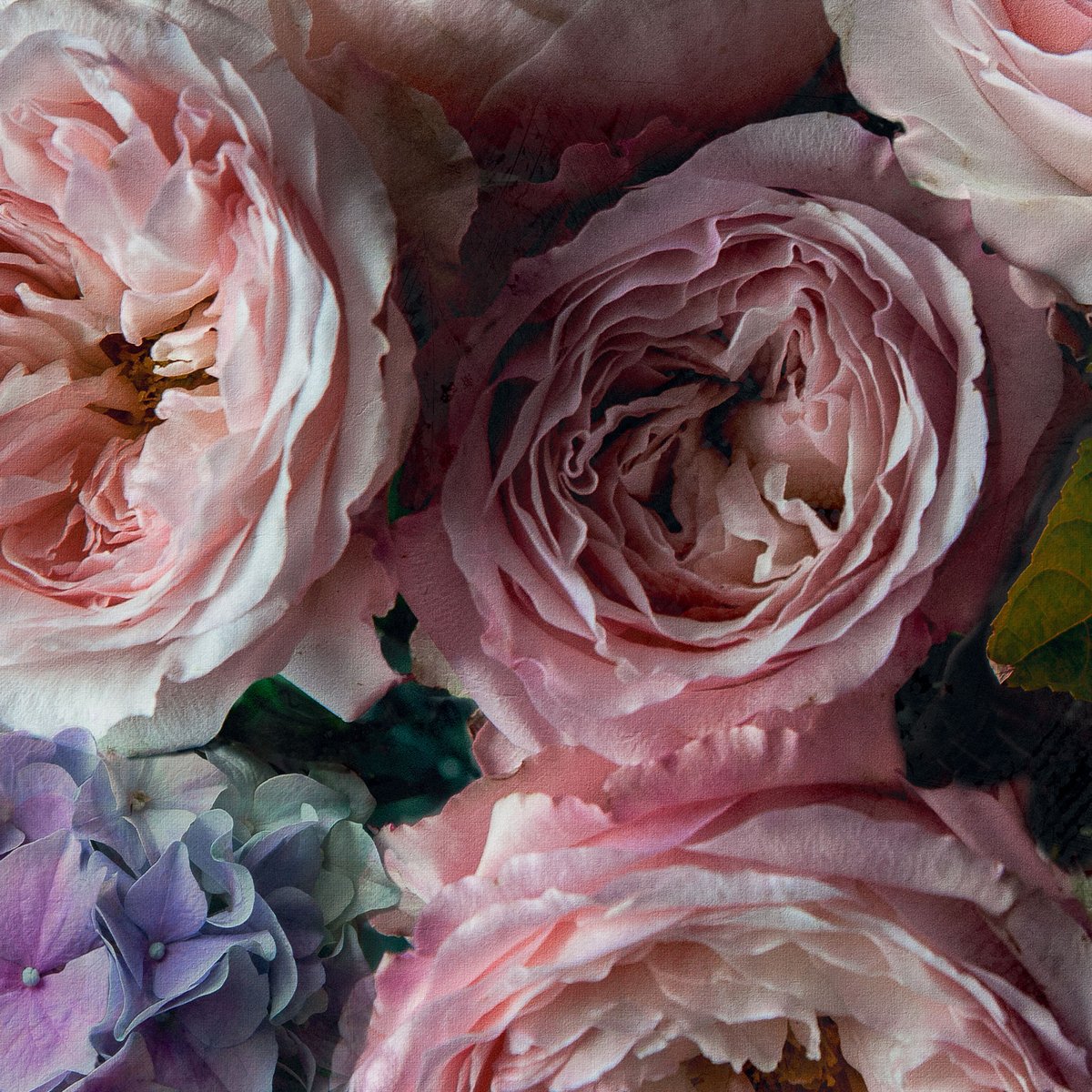 Papier peint pivoines et hortensias rose, HEXOA