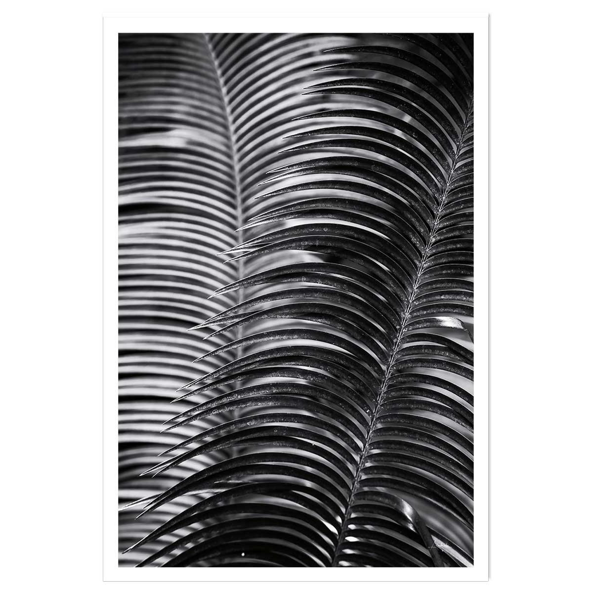 Poster jungle Sun palm affiche seule, HEXOA