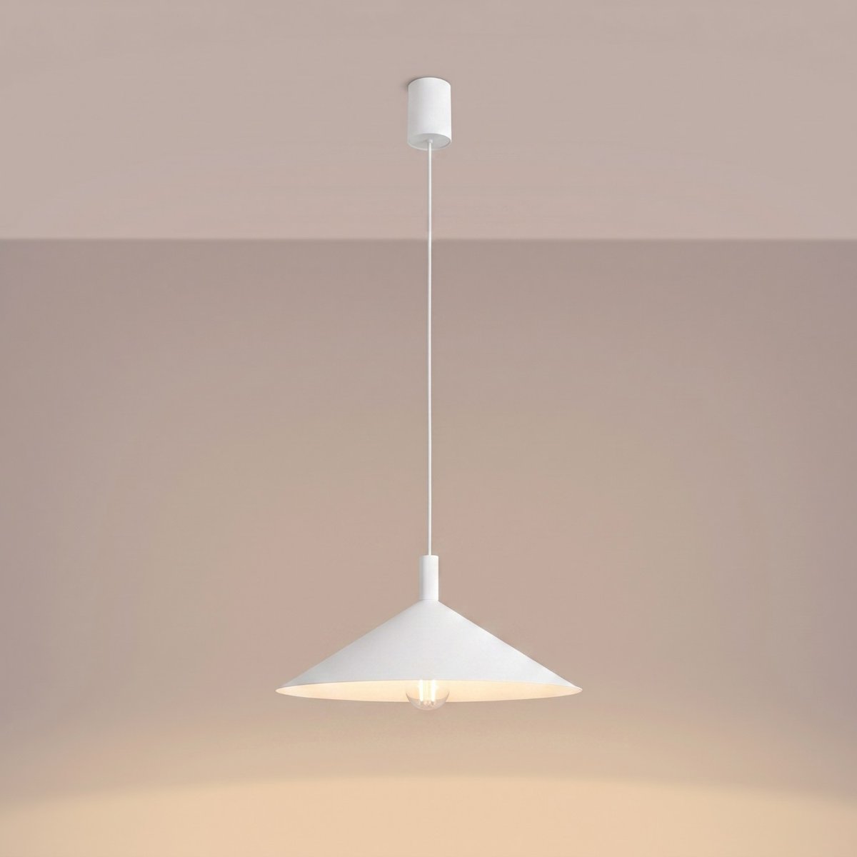 Suspension Acier Blanc E27 1 NOX blanc, EDEN