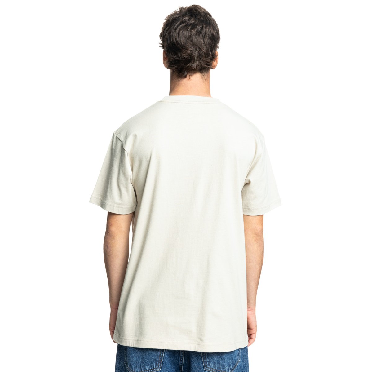 T-shirt à manches courtes METALLIC STAR. gris pelican, DC SHOES