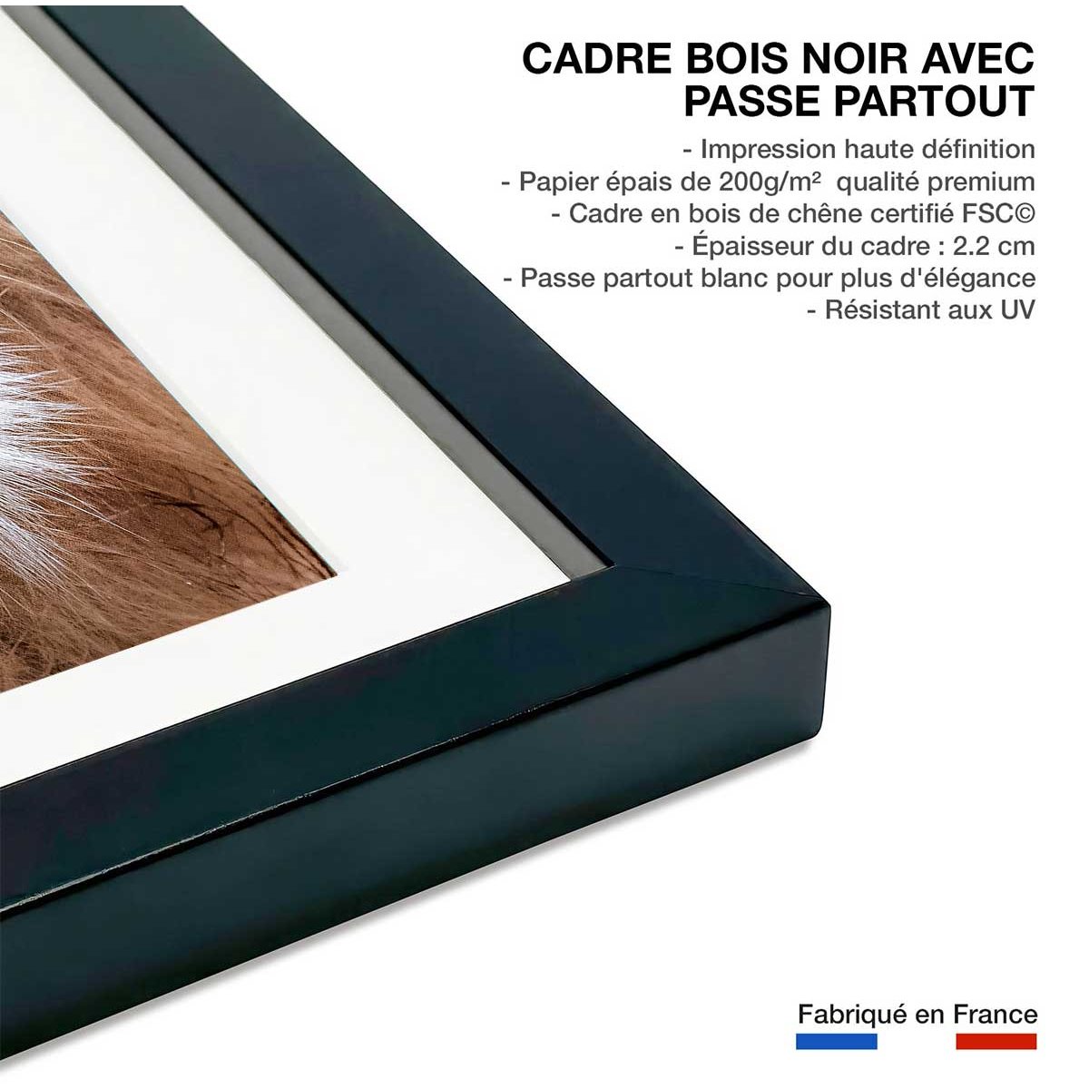 Affiche animaux delice de lion affiche + cadre en bois - noir, HEXOA