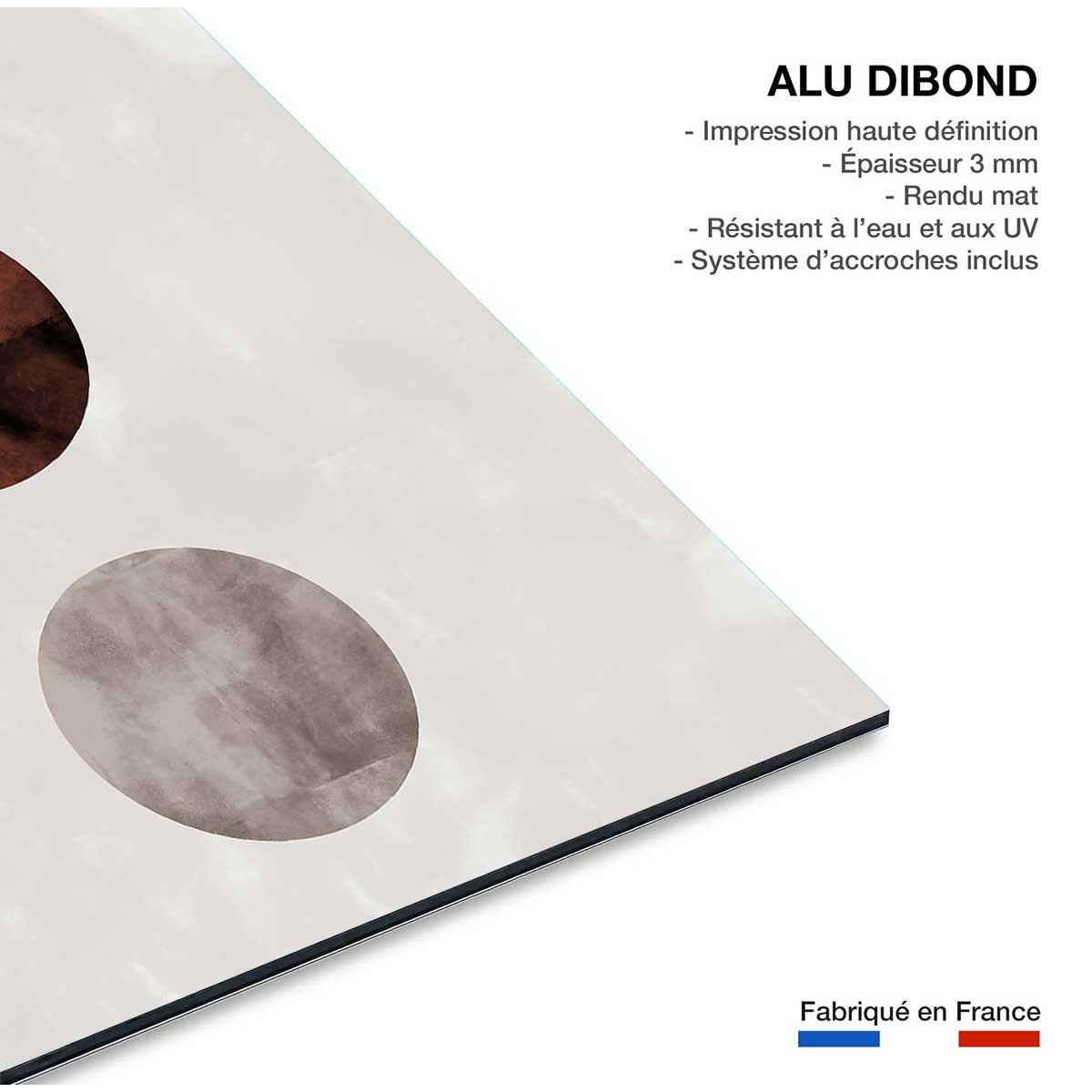 Tableau Lune pleine tableau alu dibond, HEXOA