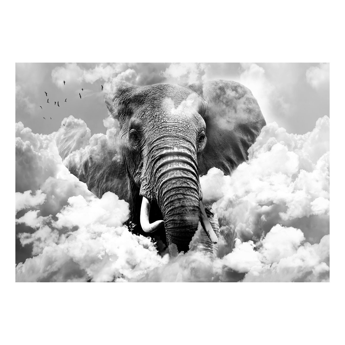 Papier peint intissé panoramique Animaux Elephant in the Clouds (Black and White) noir, EDEN