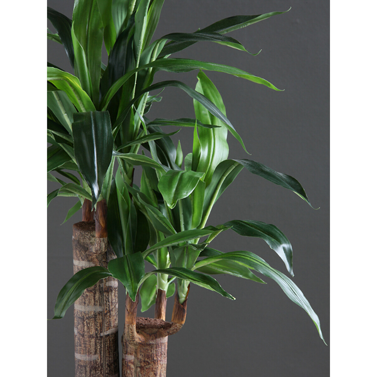 80cm Artificial Double Stem Yucca green, SO'HOME