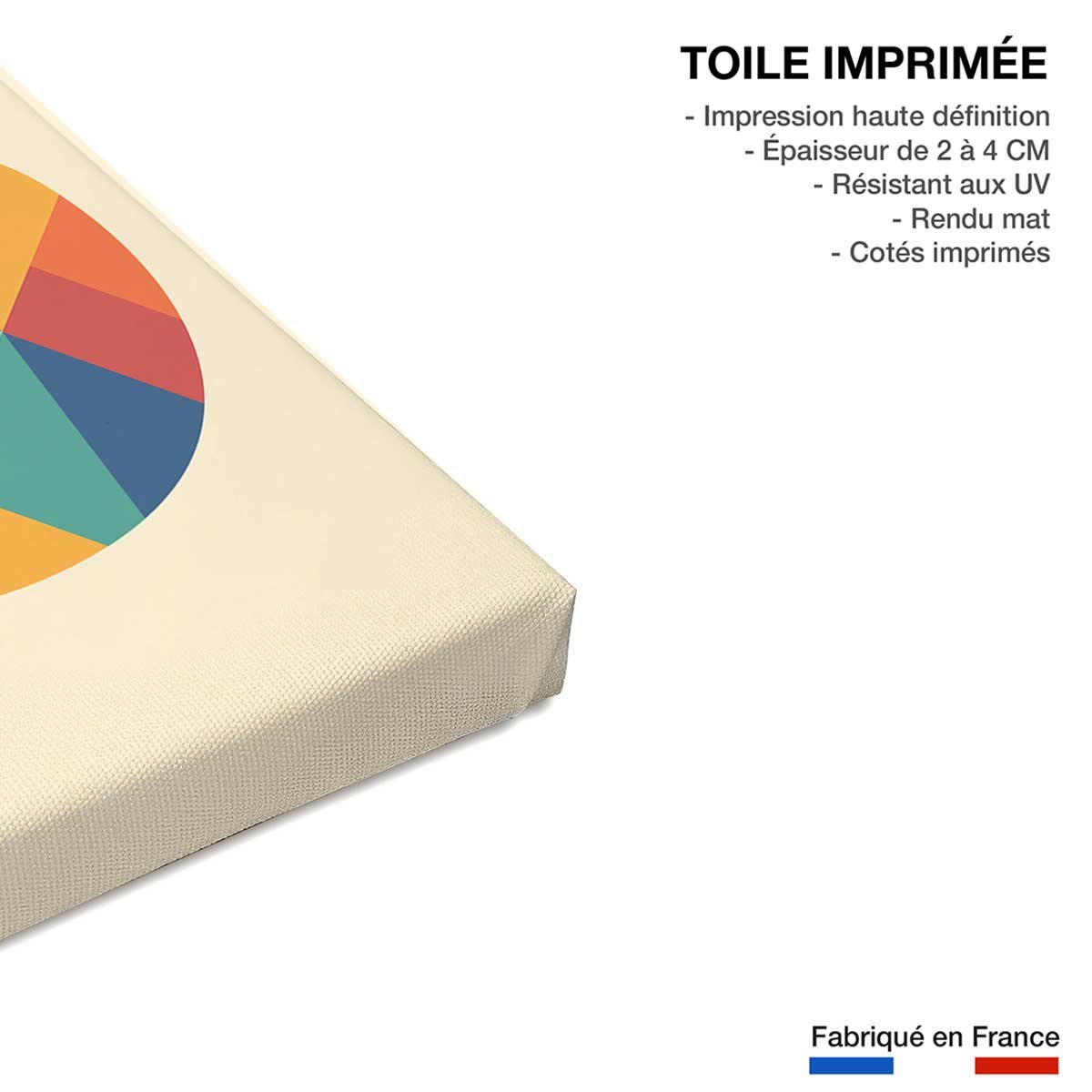 Tableau enfant rainbow fox toile imprimée, HEXOA