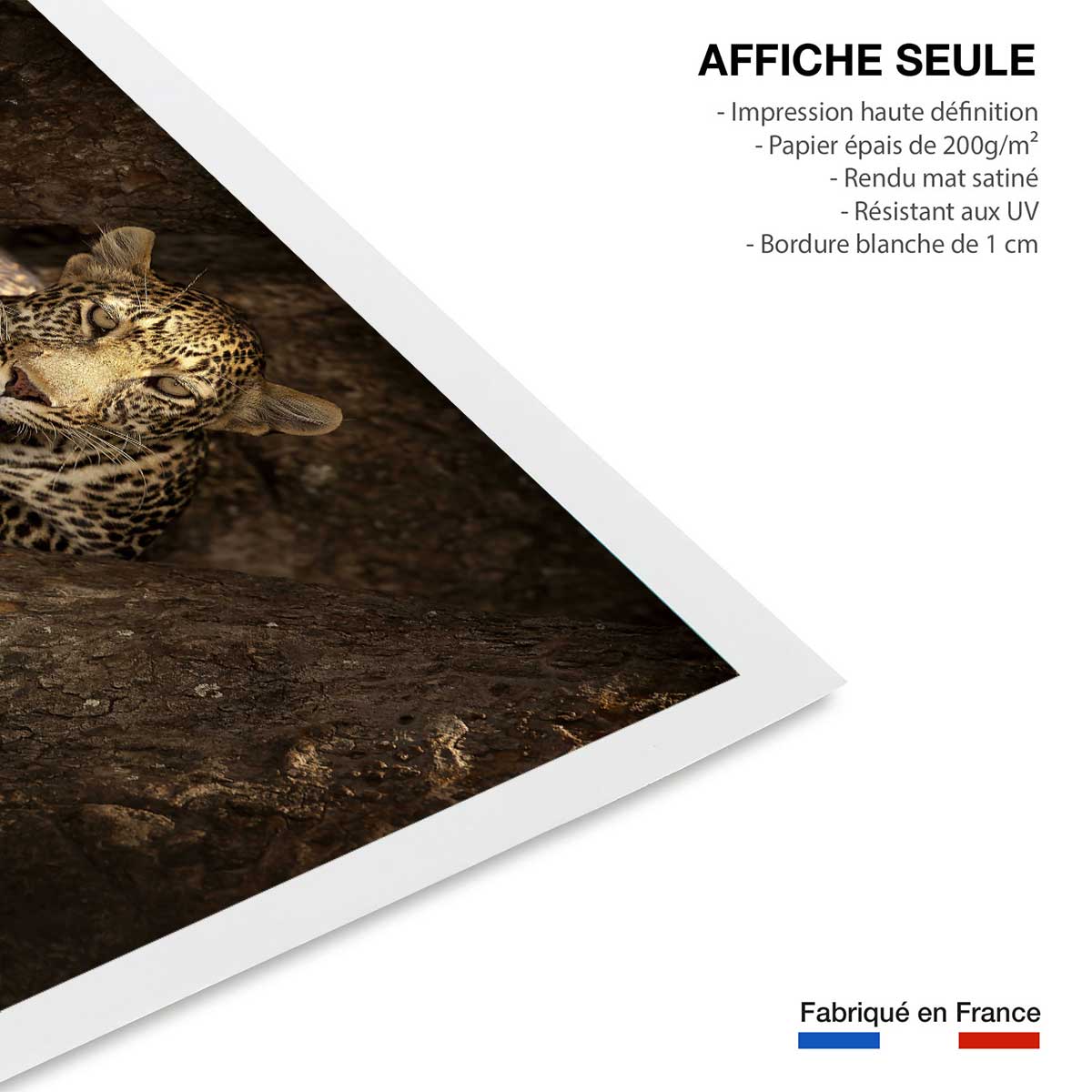 Affiche masai léopard affiche seule, HEXOA