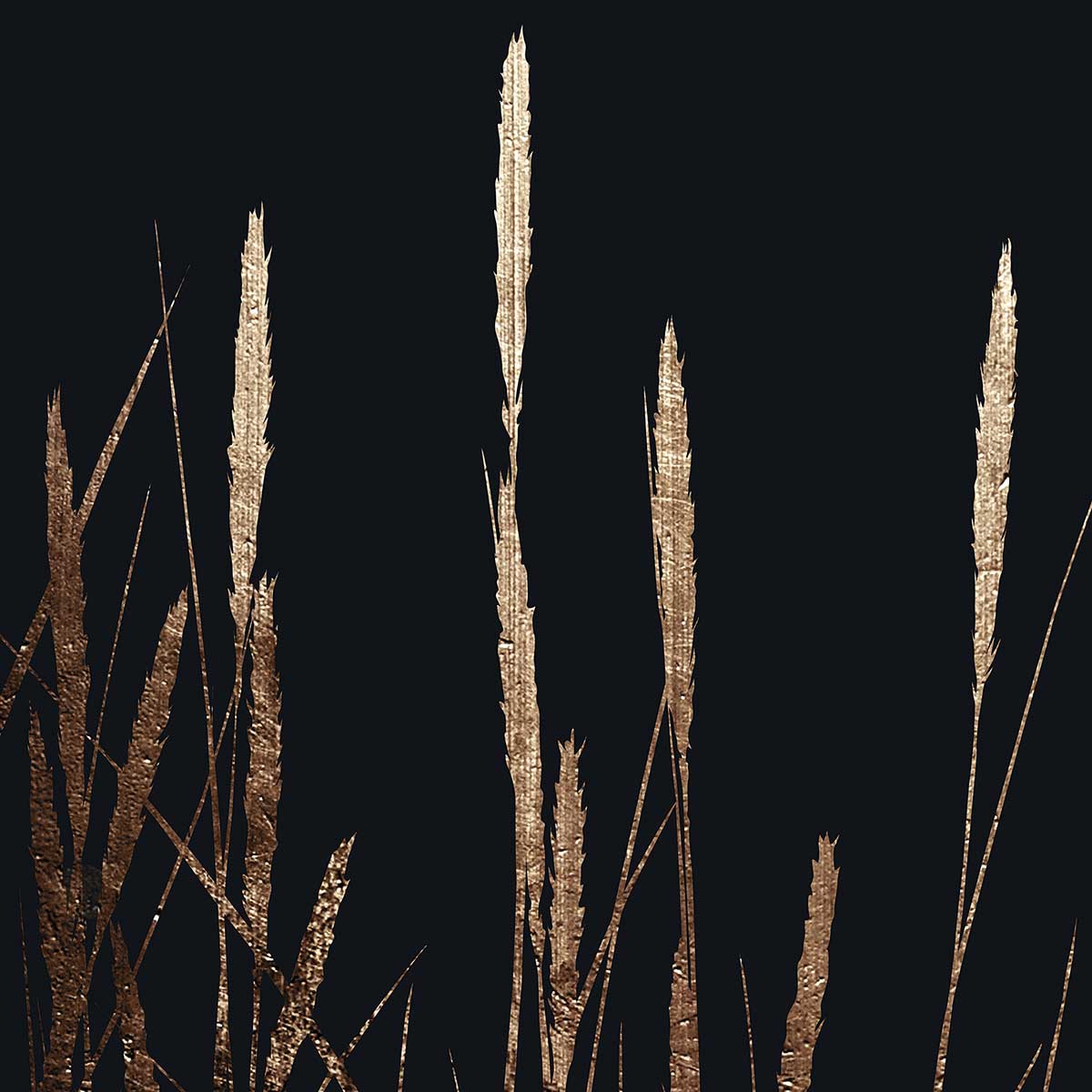 Poster blés dorés affiche + cadre en bois - noir, HEXOA