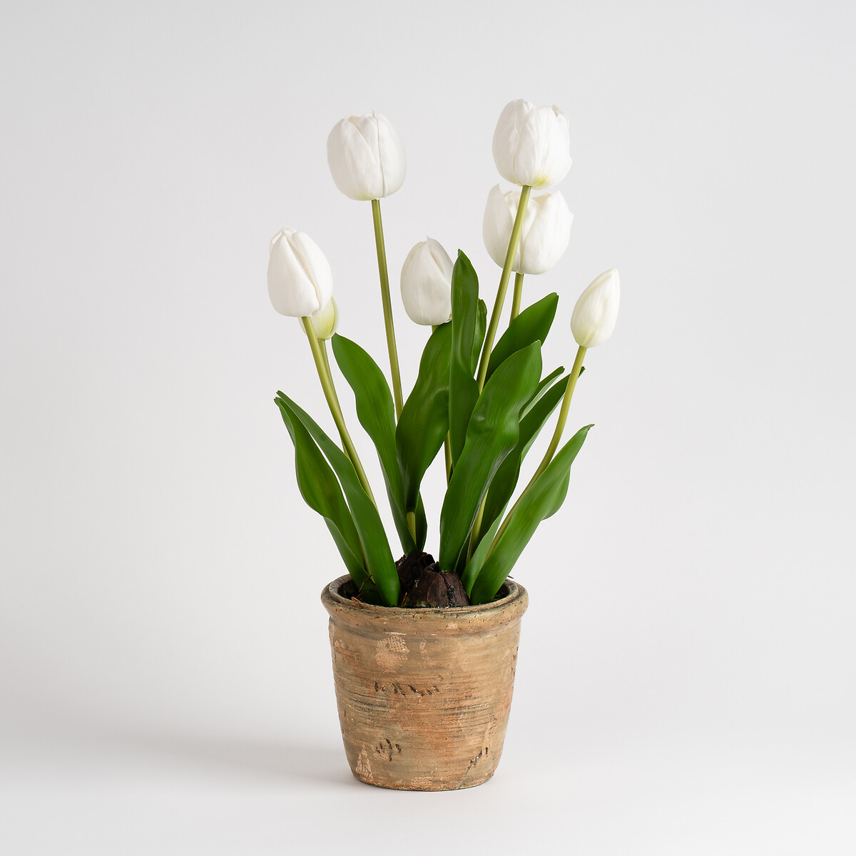 45cm Tulip Spray in Pot white, SO'HOME