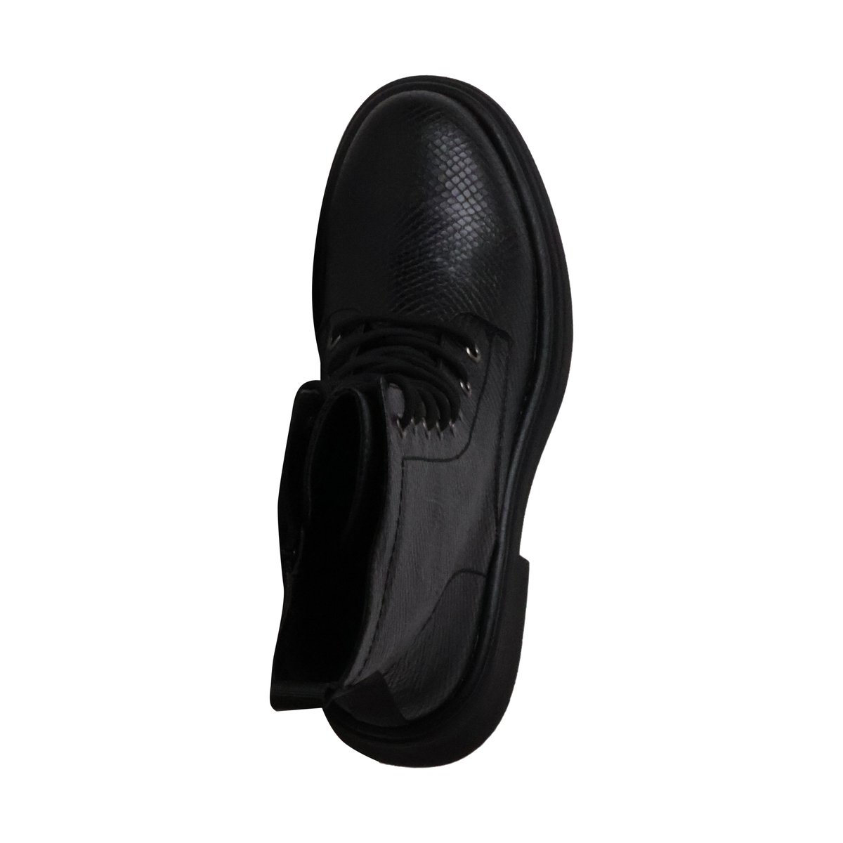 Bottines à Lacets Et Zip serpent, ENZA NUCCI