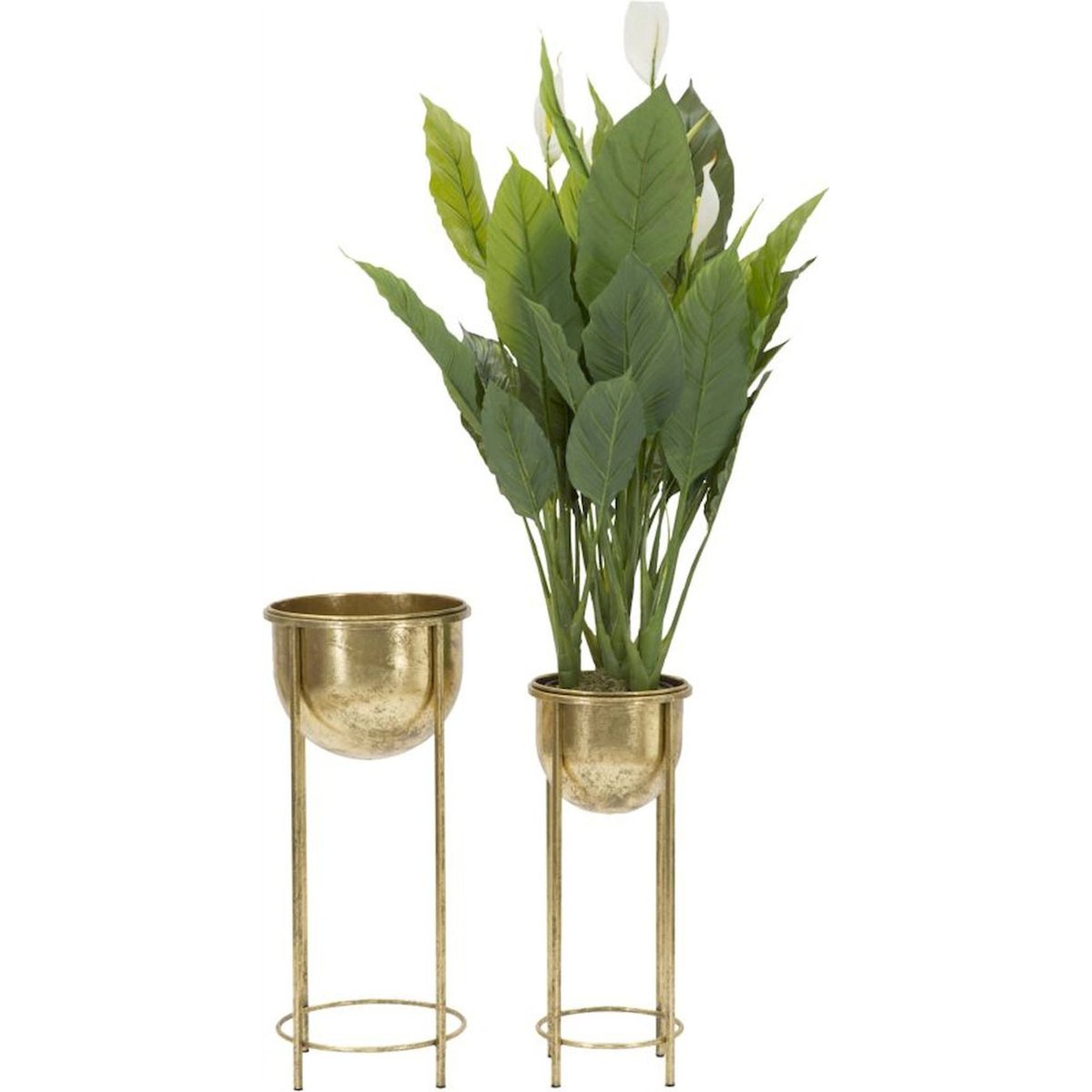 Duo de cache-pots sur pied en fer GLAM doré, RECOLLECTION