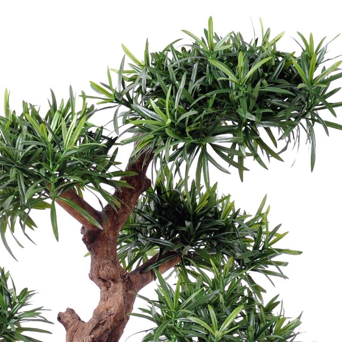 Bonsaï Podocarpus Artificiel H 70 cm D 60 cm vert, ARTIFICIELLES