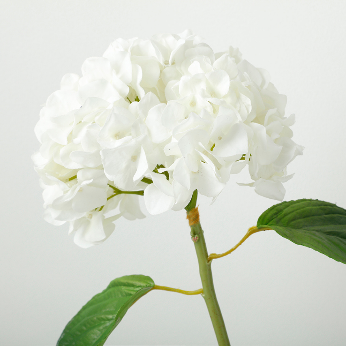 Tige d'hortensia avec feuilles artificielles H45 PREMIUM blanc, SIA DECO