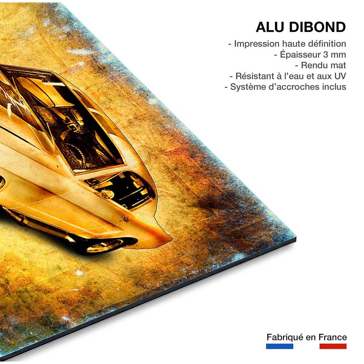 Tableau moderne mustang tableau alu dibond, HEXOA