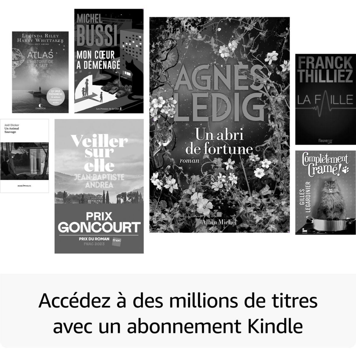 Liseuse eBook Kindle Paperwhite SE 32Go Rose Métallisé couleur unique, AMAZON