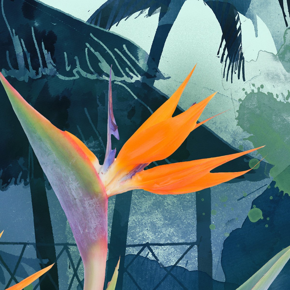 Papier peint panoramique TROPICAL MOOD multicolore, LE PAPIERS DE NINON