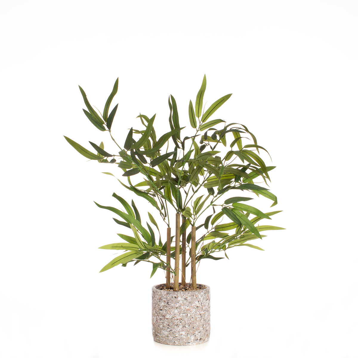 60cm Tabletop Bamboo in Cement Pot green, SO'HOME