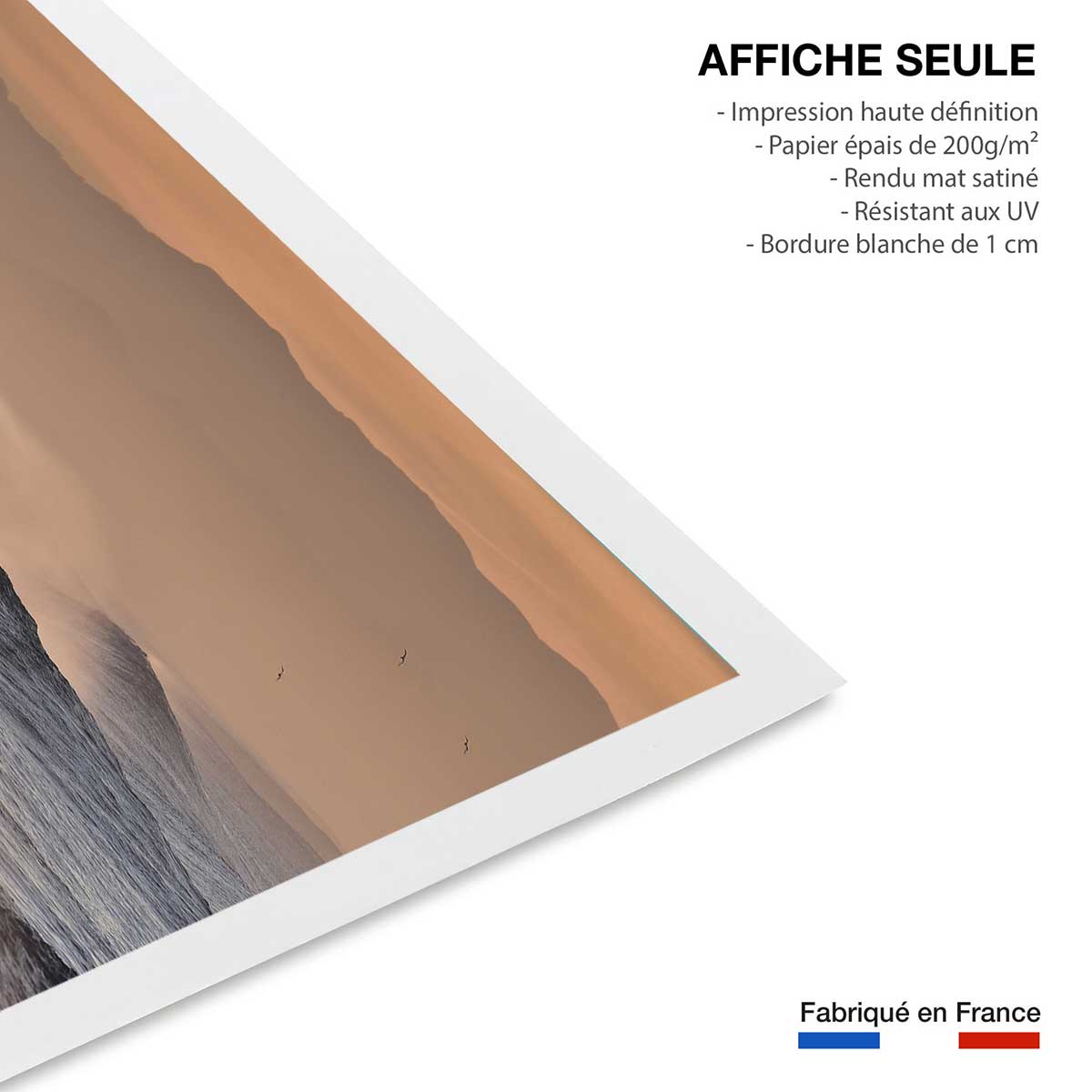 Affiche photo plage hossegor mouettes au pic affiche seule, HEXOA