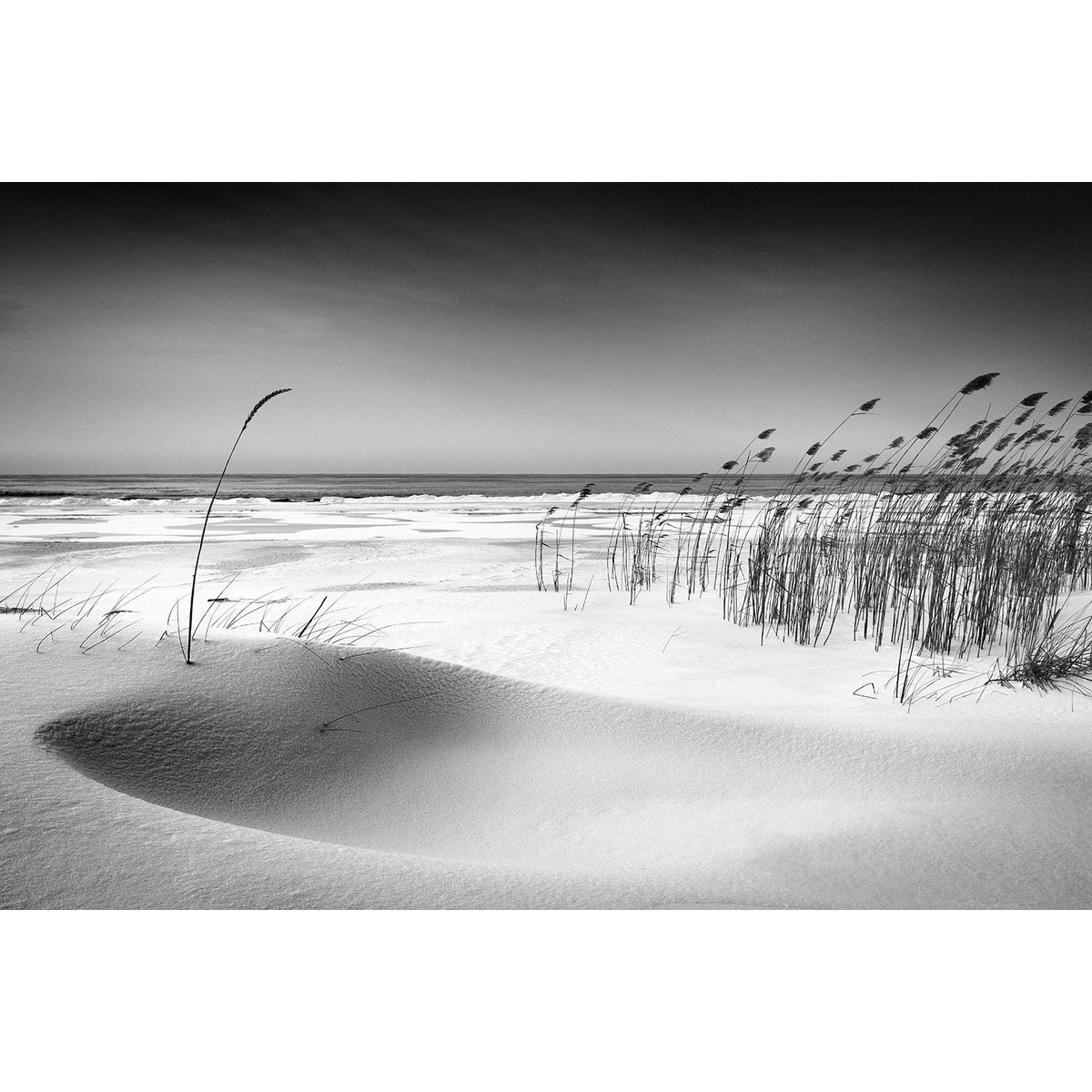 Tableau bord de plage on the beach tableau alu dibond, HEXOA