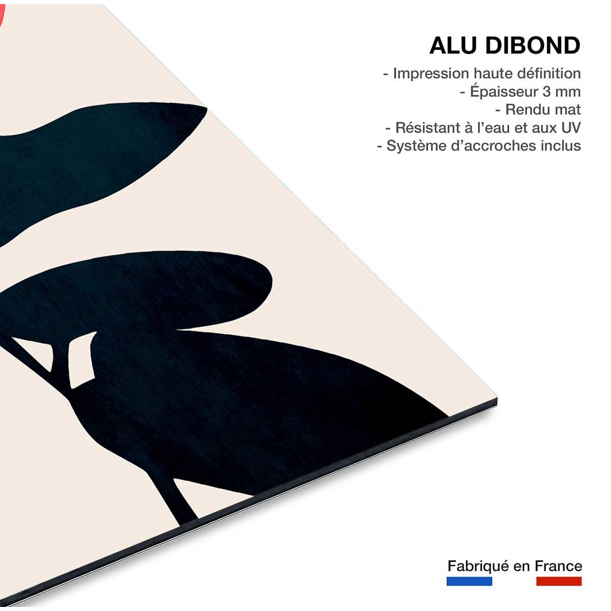 Tableau Coucher de lune tableau alu dibond, HEXOA