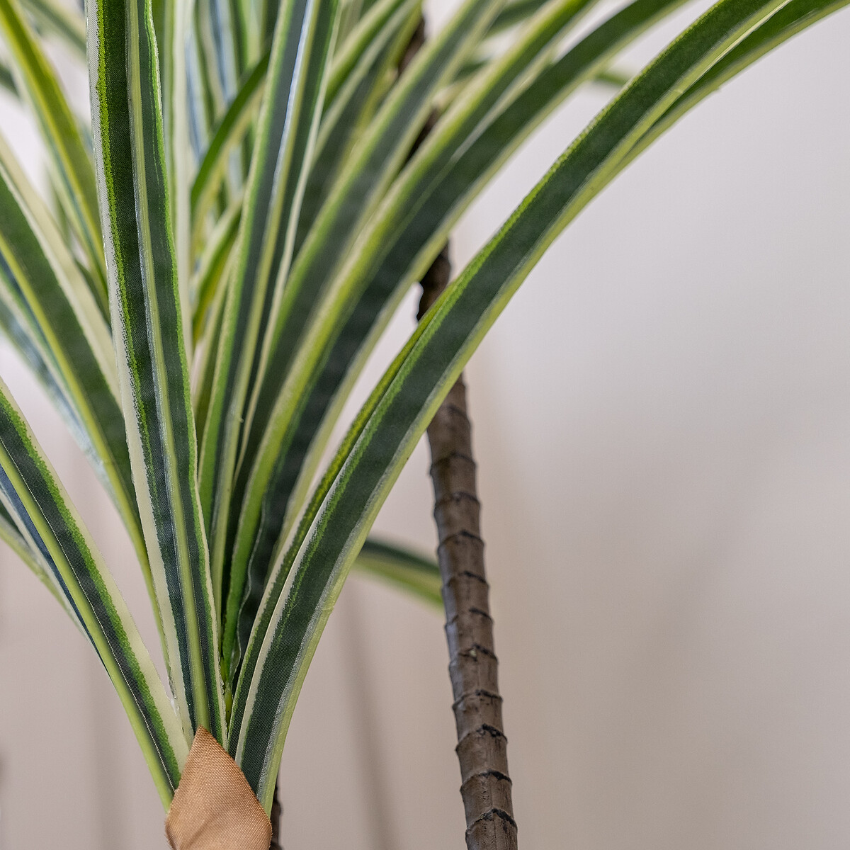 90cm Real Touch Variegated Yucca green, SO'HOME