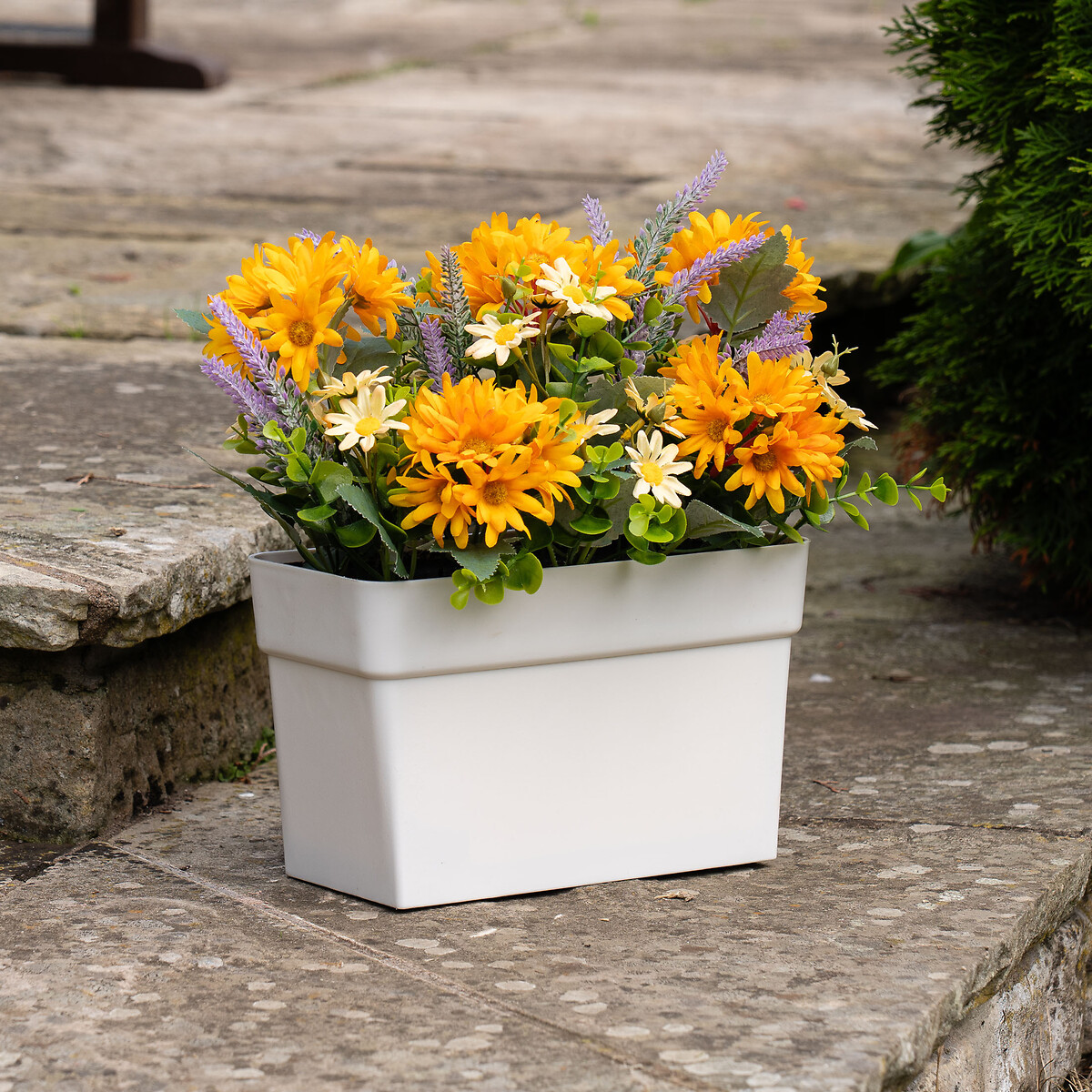 Orange & Yellow Daisy in UV Trough Planter orange, SO'HOME