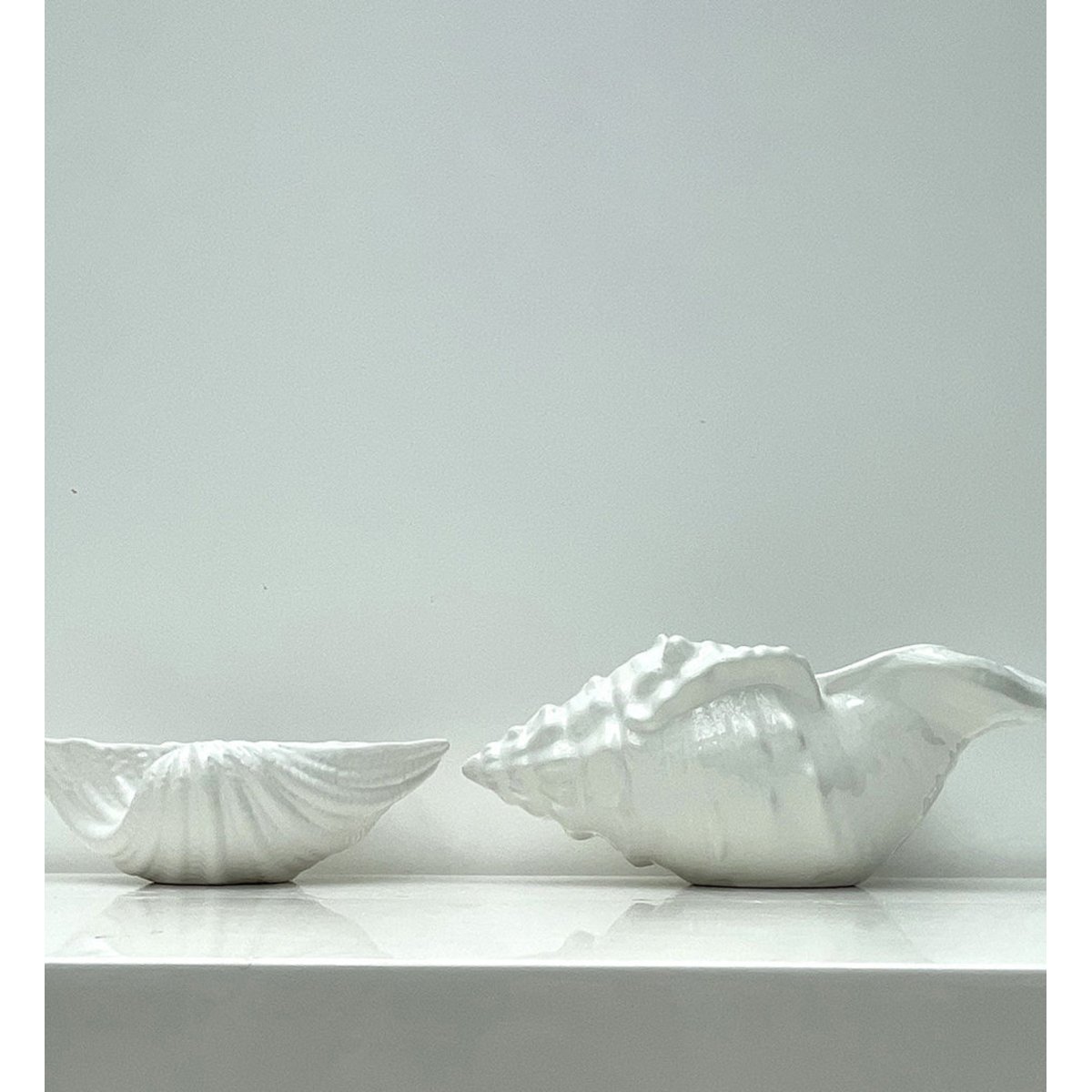 Décoration coquillage blanc, OPJET