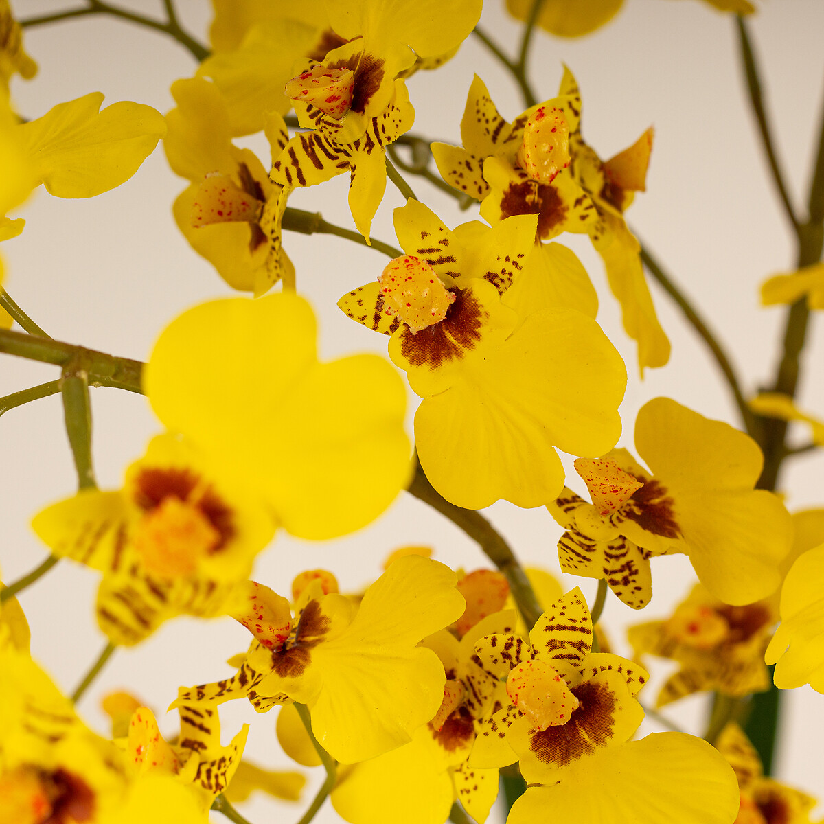 71cm Artificial Yellow Dancing Orchid in Ceramic Pot yellow, SO'HOME