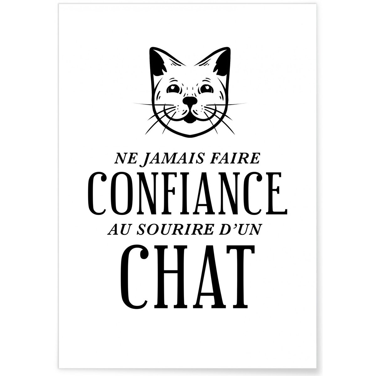 Affiche Sourire de chat blanc, L'AFFICHERIE