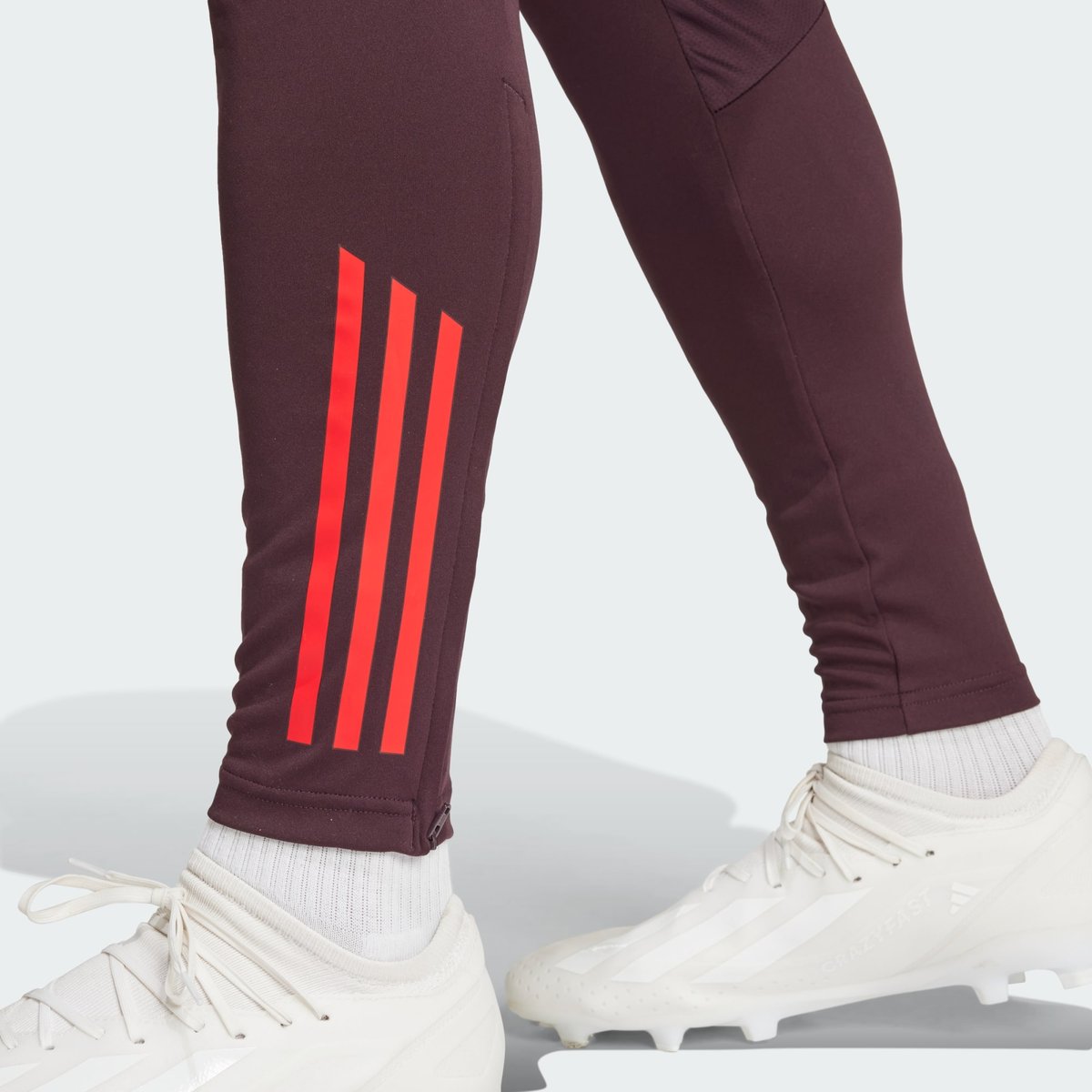 Pantalon d'entraînement FC Bayern Tiro 24 shadow maroon / red, adidas Performance