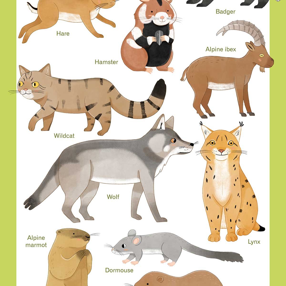 Affiche enfant animaux d'europe affiche seule, HEXOA