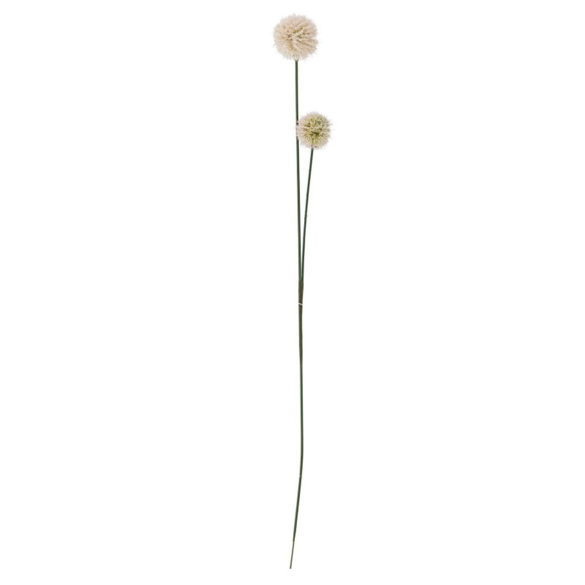 Tige de plante vivace artificielle  Phlox beige, BLOOMINGVILLE