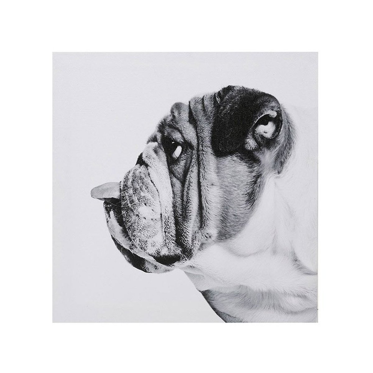 Ensemble de 4 tableaux sur toile imprimée 28x28  Funny gris, DECORATIE