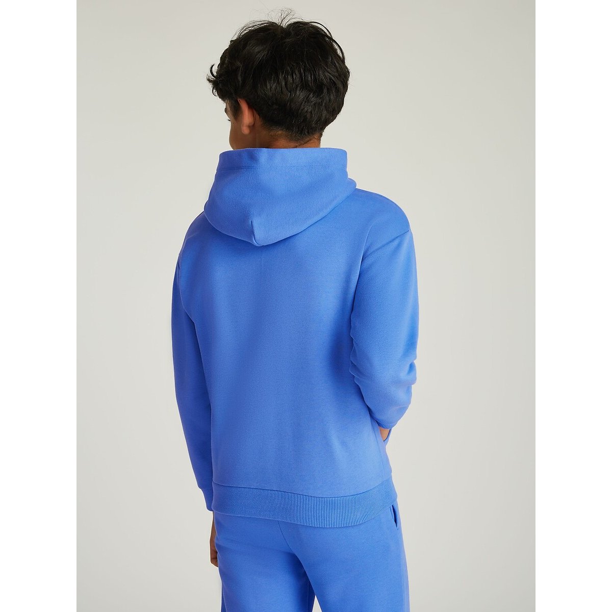 Hoodie in molton bleu, TOMMY HILFIGER