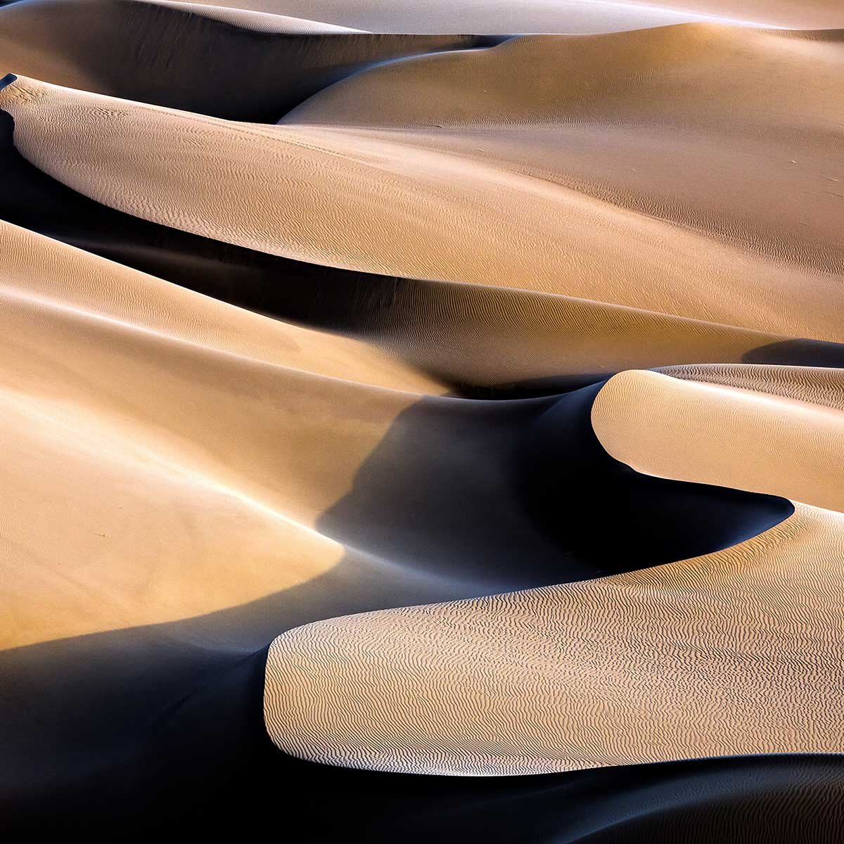 Affiche Vagues de sable affiche + cadre en bois - noir, HEXOA