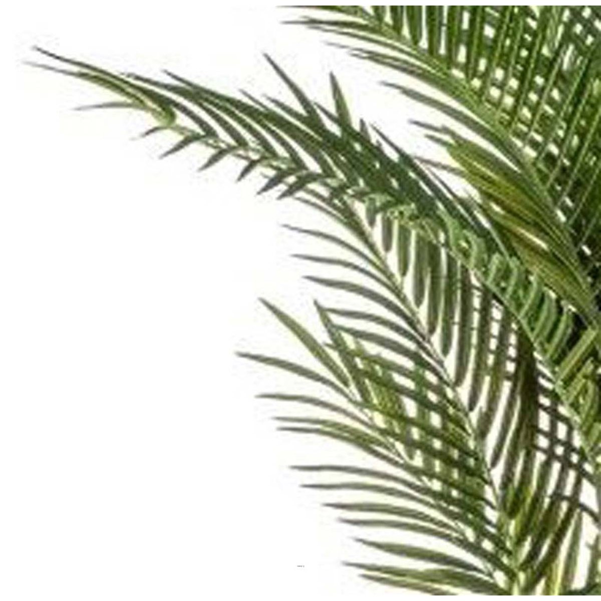 Palmier Areca artificiel en pot H 170 cm Vert vert, ARTIFICIELLES
