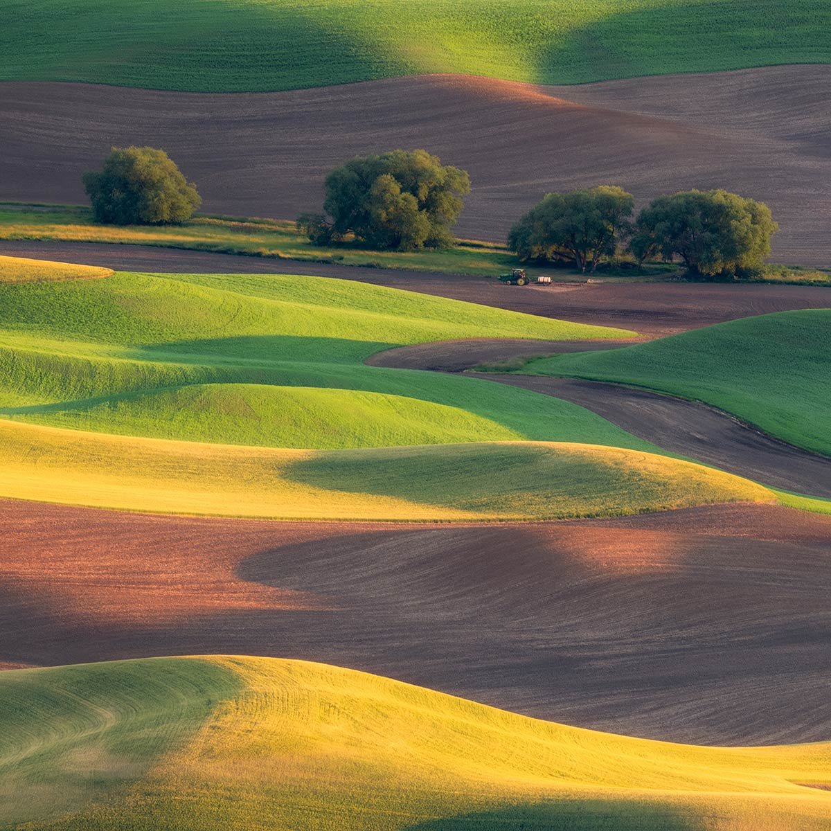 Papier peint panoramique terres agricoles intissé, HEXOA