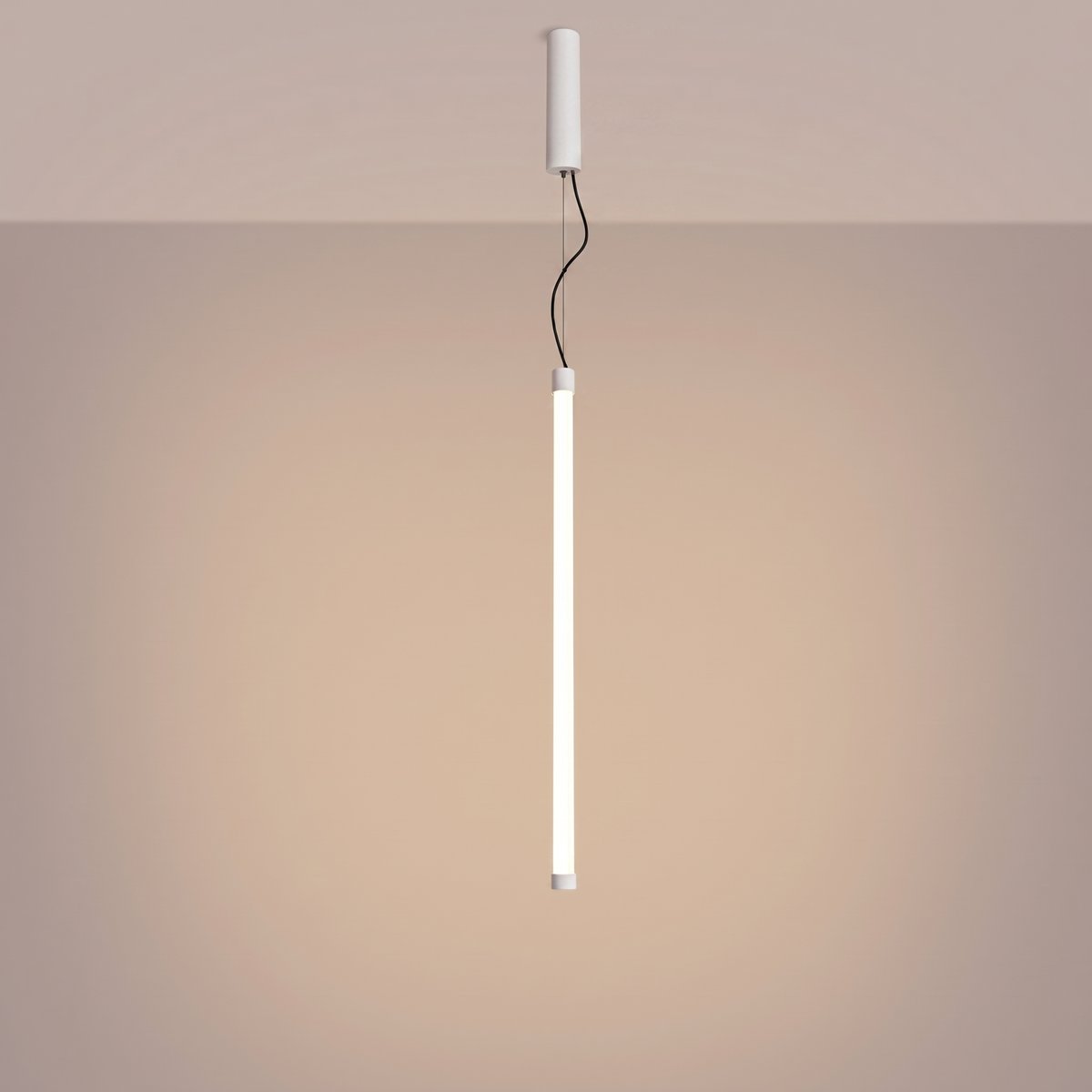 Suspension Acier Blanc LED 1 Trang blanc, EDEN