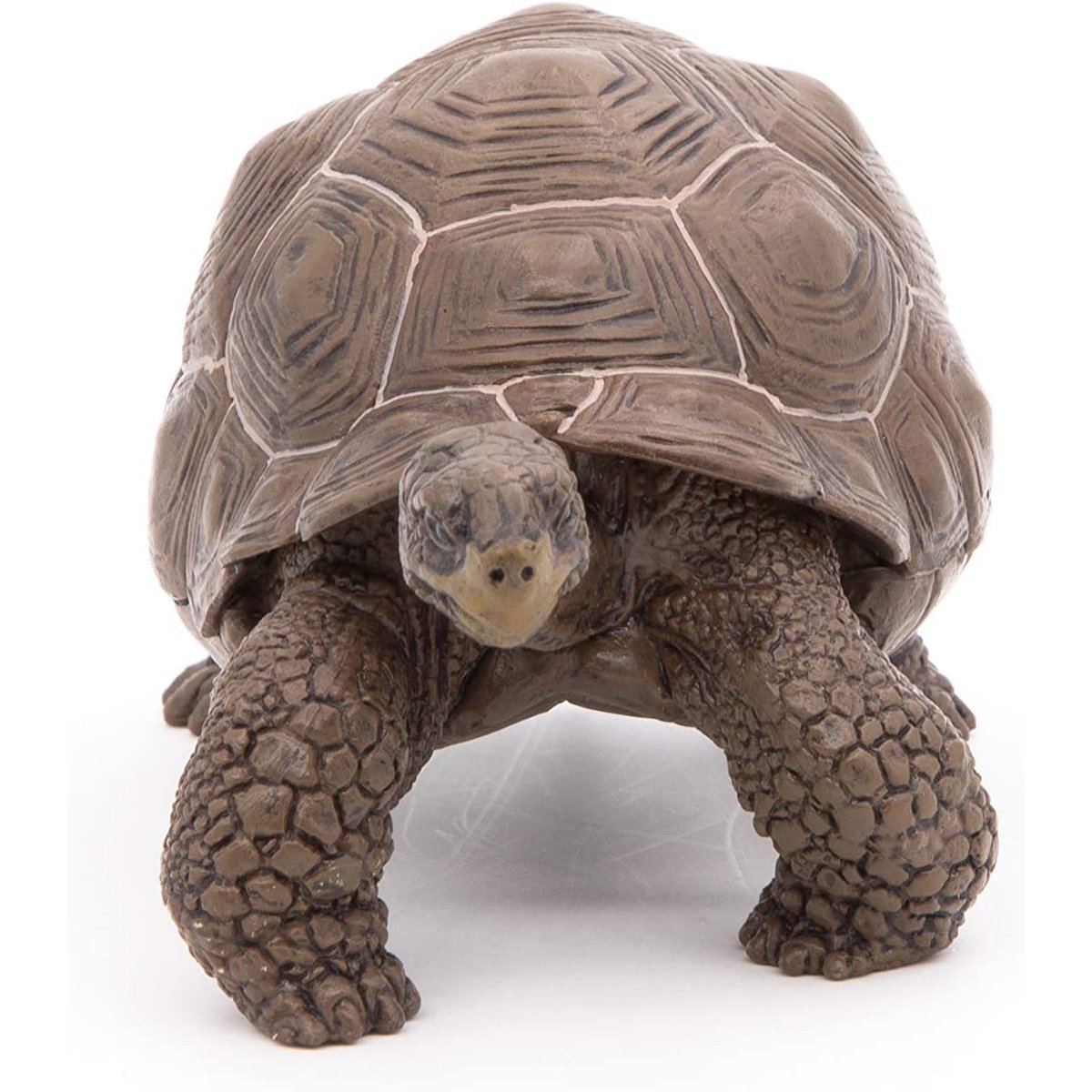 Figurine Tortue des galapagos marron, PAPO