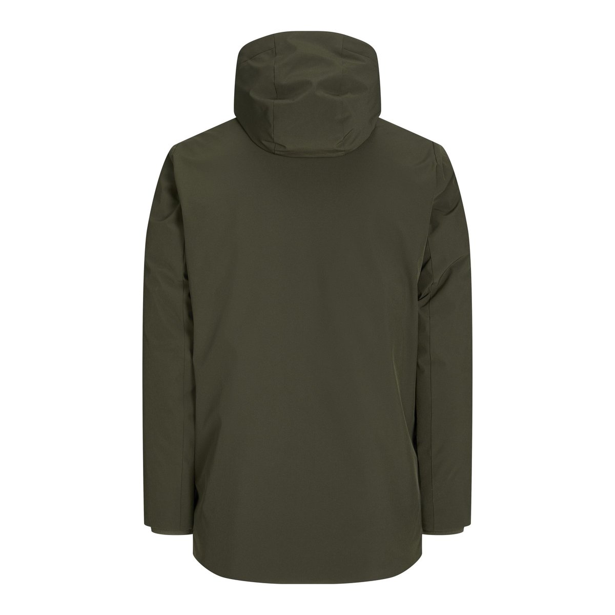 Parka forest night, aprel