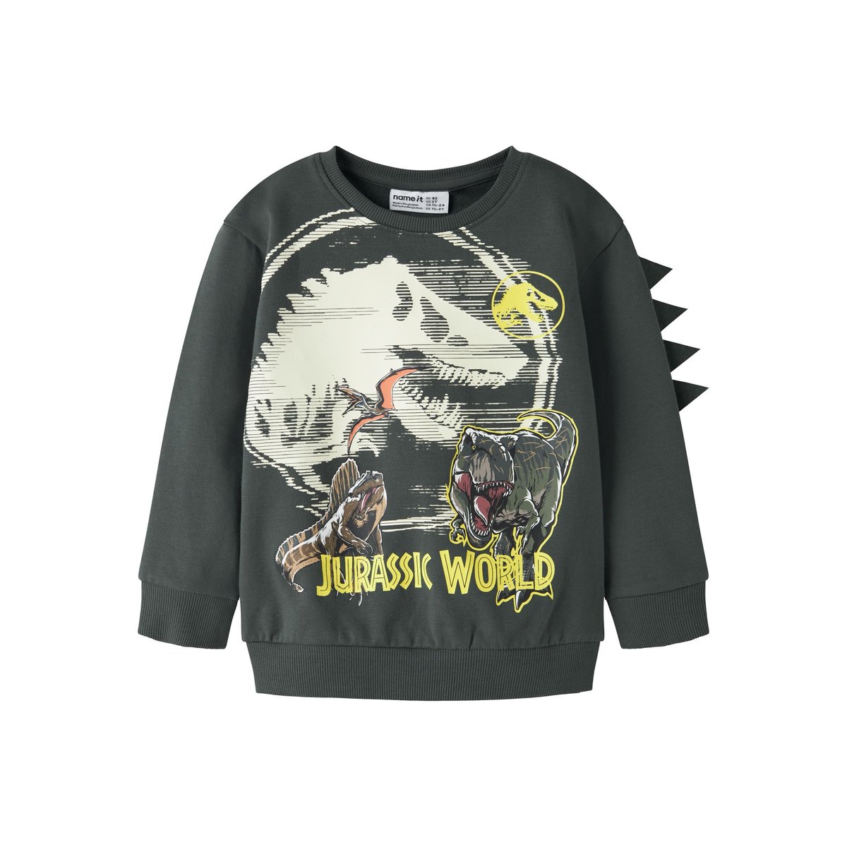 Sweat-Shirt gris - urban chic1, NAME IT