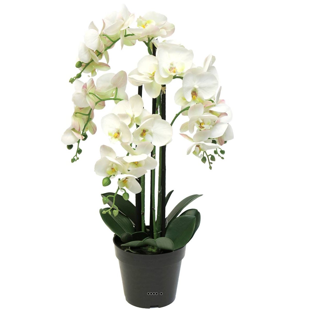 Orchidée Phalaenopsis factice en pot quali crème, ARTIFICIELLES