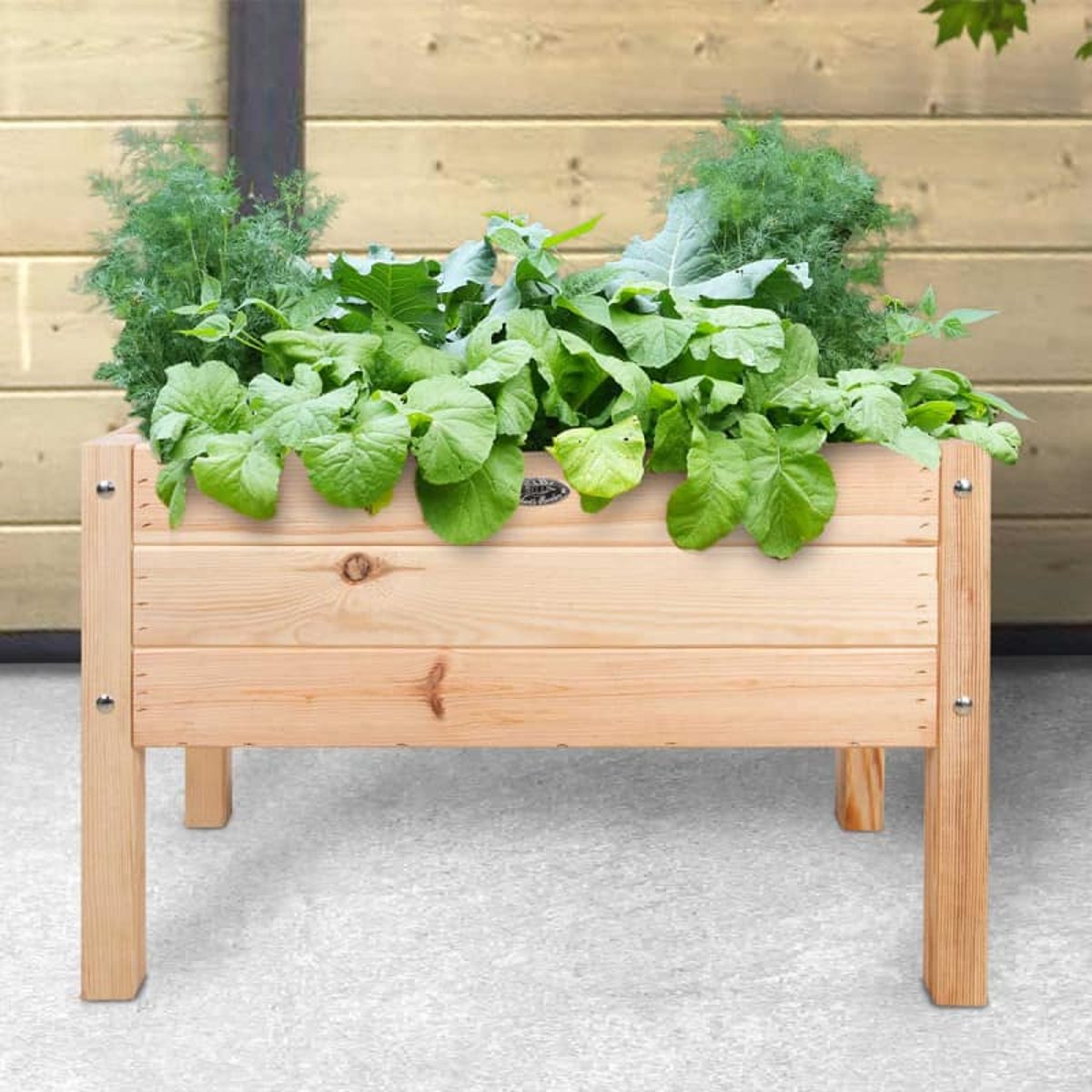 Carré potager pour enfant en bois naturel couleur unique, ESSCHERT DESIGN