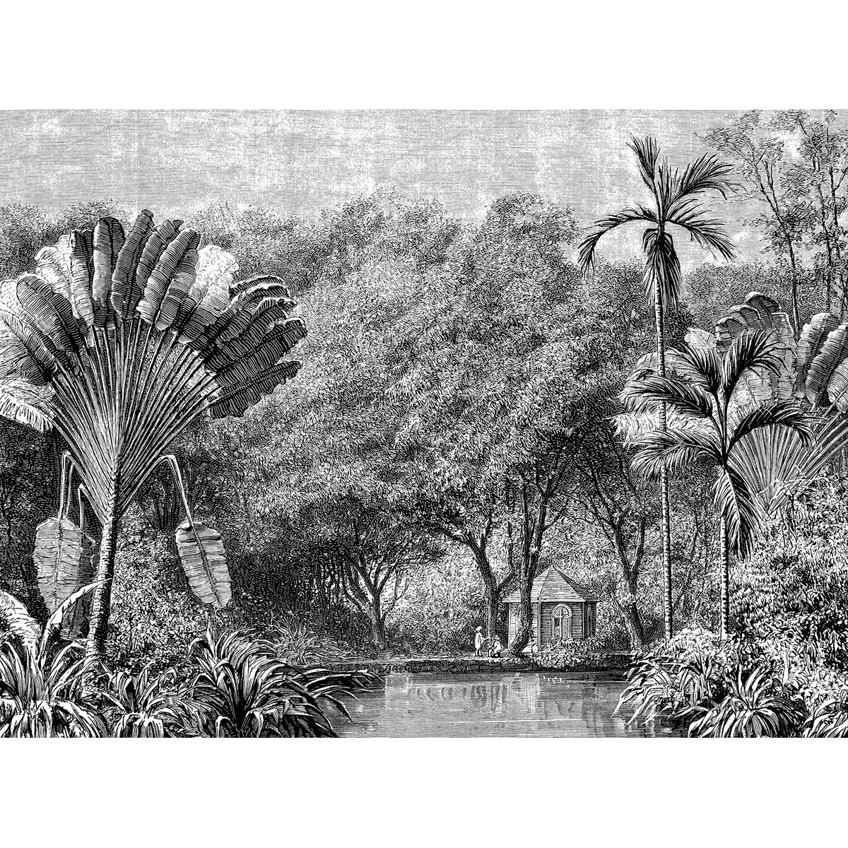 Papier peint l'arbre du voyageur tropical intissé, HEXOA