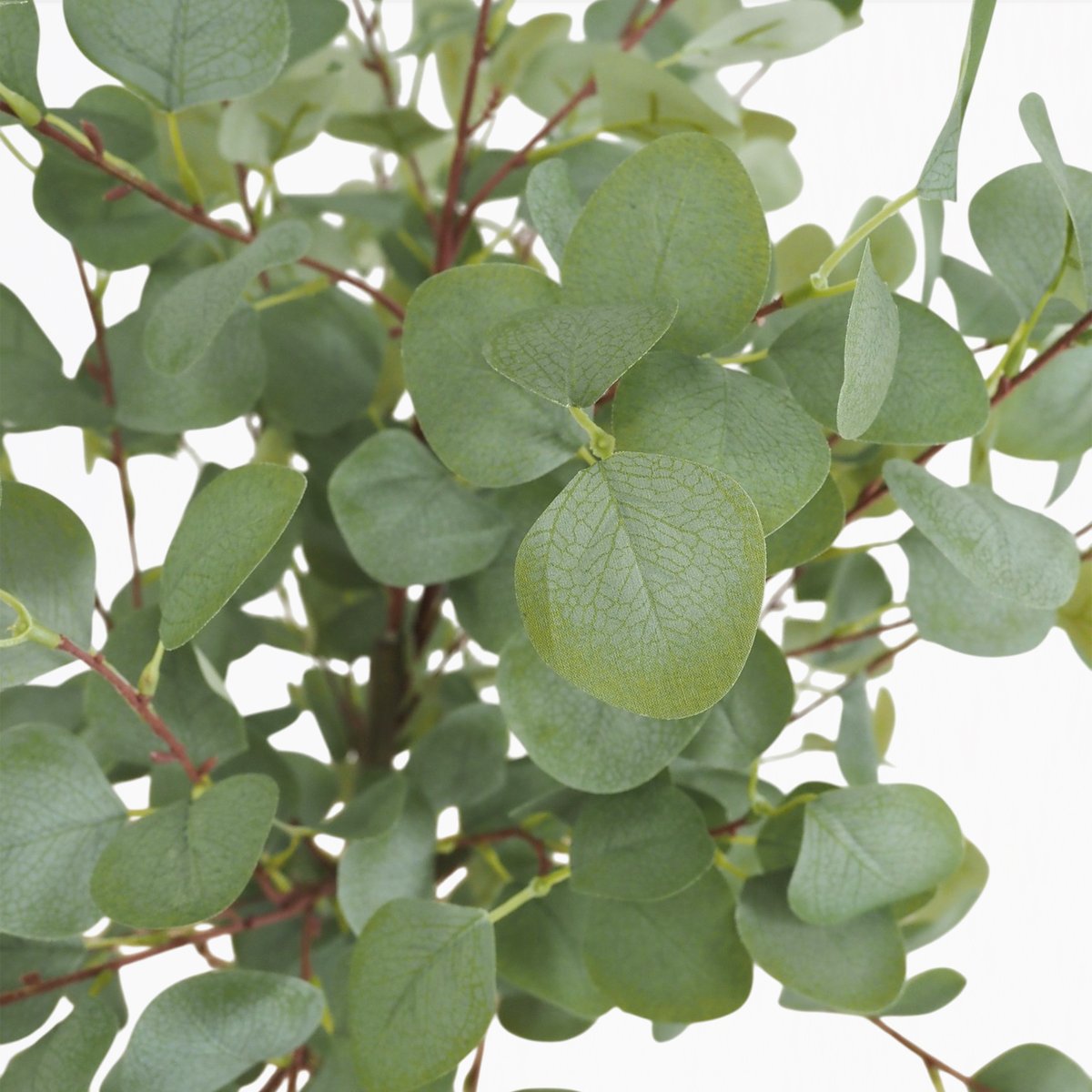 Eucalyptus artificiel 135cm autres, LIGNE DECO