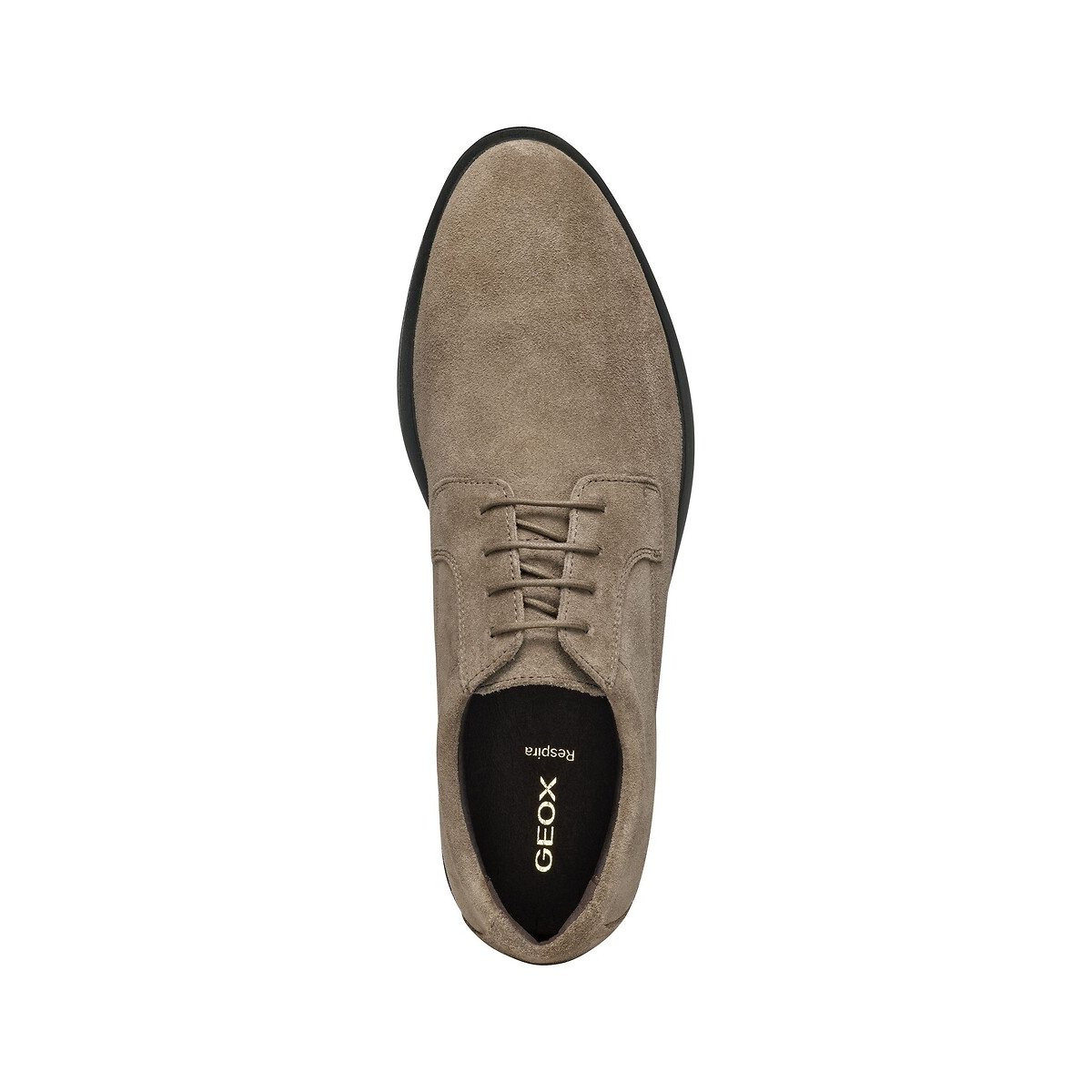 Gladwin Suede Brogues taupe, GEOX