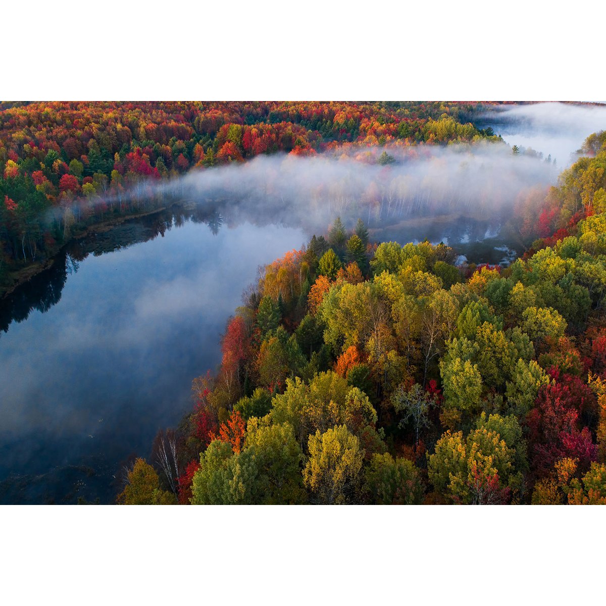 Tableau forêt et symphonie d'automne tableau alu dibond, HEXOA