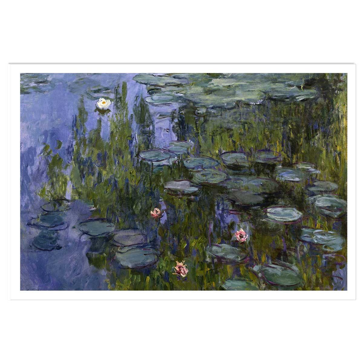 Poster Les Nympheas Claude Monet affiche seule, HEXOA